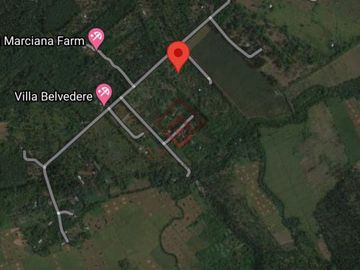 FOR SALE 5 Ha Farm Lot in Calauan, Laguna - SM48
