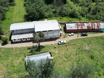 Vendo propiedad de 25,44 Hectáreas en Amaguaña, sector La Providencia Alta 9 9 9 0 1 0 2 3 2