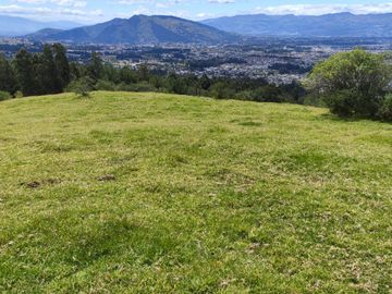 Vendo propiedad de 25,44 Hectáreas en Amaguaña, sector La Providencia Alta 9 9 9 0 1 0 2 3 2