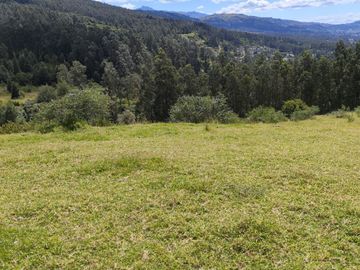 Vendo propiedad de 25,44 Hectáreas en Amaguaña, sector La Providencia Alta 9 9 9 0 1 0 2 3 2