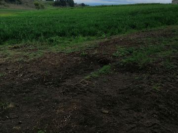 HERMOSO RANCHO EJIDAL EN VENTA EN EL MUNICIPIO        DE VILLA VICTORIA EDO.MÉX