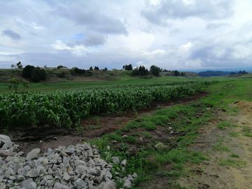 HERMOSO RANCHO EJIDAL EN VENTA EN EL MUNICIPIO        DE VILLA VICTORIA EDO.MÉX