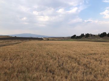 HERMOSO RANCHO EJIDAL EN VENTA EN EL MUNICIPIO        DE VILLA VICTORIA EDO.MÉX