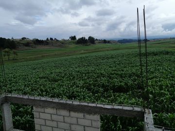 HERMOSO RANCHO EJIDAL EN VENTA EN EL MUNICIPIO        DE VILLA VICTORIA EDO.MÉX