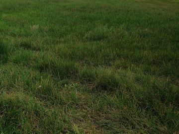 HERMOSO RANCHO EJIDAL EN VENTA EN EL MUNICIPIO        DE VILLA VICTORIA EDO.MÉX
