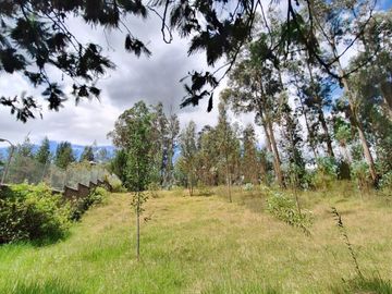 VENTA TERRENO VALLE DE LOS CHILLOS SECTOR LA MERCED