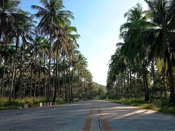 25,492 m2 / 6.30 Acres Sunset Golden Beach Destination