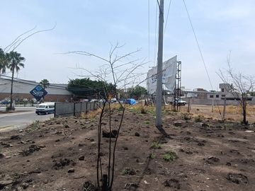 TERRENO  (PLAZA ATRIOS)