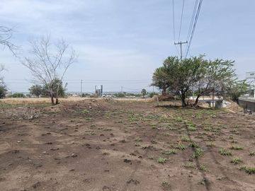 TERRENO  (PLAZA ATRIOS)