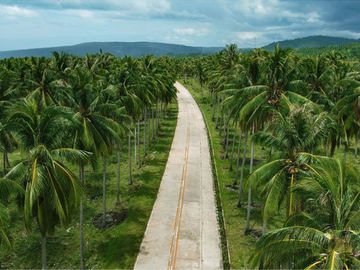 9,900 m2 / 2.44 Acres West Coast Properties