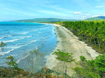 9,900 m2 / 2.44 Acres West Coast Properties