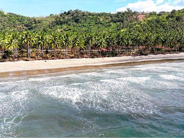 9,900 m2 / 2.44 Acres West Coast Properties