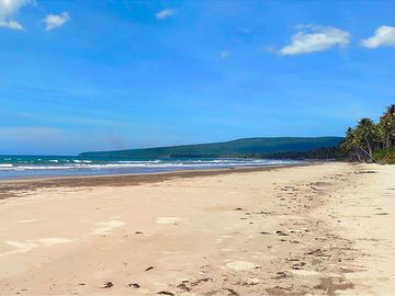 9,900 m2 / 2.44 Acres West Coast Properties