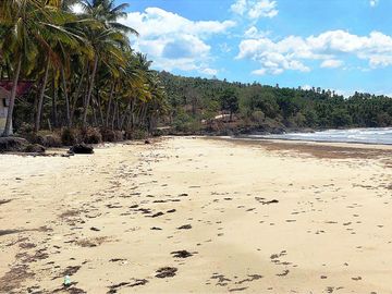 9,900 m2 / 2.44 Acres West Coast Properties