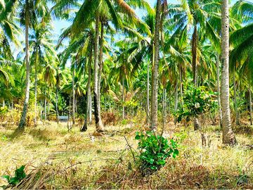 9,900 m2 / 2.44 Acres West Coast Properties