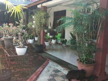 Rumah AA Pamulang, SIAP HUNI, Luas Besar, Harga Murah di Tangsel, Kota Tangerang Selatan Jual Dijual