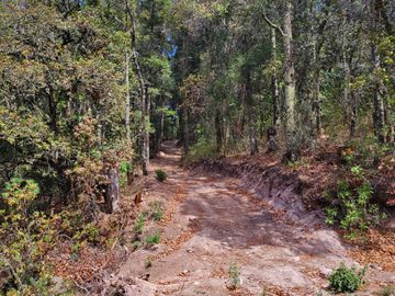 TERRENO EN LA ESTANZUELA, MINERAL DEL CHICO TOTALMENTE BOSCOSO CON VISTA PANORÁMICA