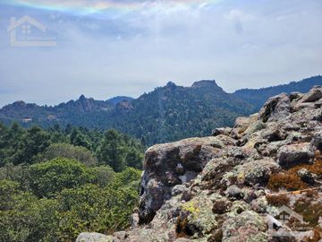 TERRENO EN LA ESTANZUELA, MINERAL DEL CHICO TOTALMENTE BOSCOSO CON VISTA PANORÁMICA