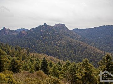 TERRENO EN LA ESTANZUELA, MINERAL DEL CHICO TOTALMENTE BOSCOSO CON VISTA PANORÁMICA