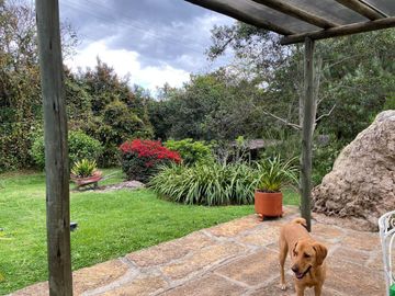 447. CASA EN VENTA EN VILLA DE LEYVA VEREDA ROBLE ALTO