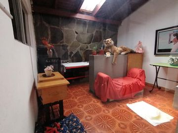 VENDO CASA RENTERA 3 PISOS, 4 DEPARTAMENTOS en Vaca de Castro. Norte de Quito.