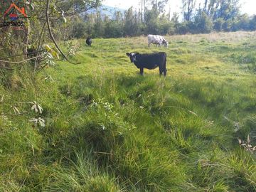 Terreno de venta en Otavalo, San Pablo, Parque Acuático, 10207 m2