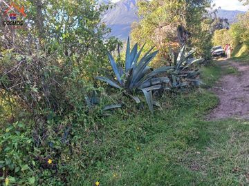 Terreno de venta en Otavalo, San Pablo, Parque Acuático, 10207 m2