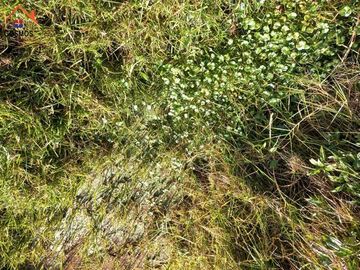 Terreno de venta en Otavalo, San Pablo, Parque Acuático, 10207 m2