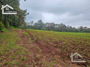 TERRENO EN EL PUEBLO MÁGICO HUASCA DE OCAMPO UBICADO A LA ENTRADA DEL PUEBLO SAN JOSÉ OCOTILLOS