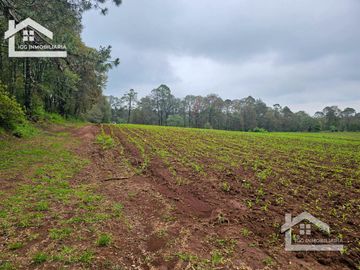 TERRENO EN EL PUEBLO MÁGICO HUASCA DE OCAMPO UBICADO A LA ENTRADA DEL PUEBLO SAN JOSÉ OCOTILLOS