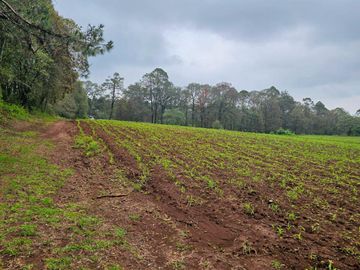TERRENO EN EL PUEBLO MÁGICO HUASCA DE OCAMPO UBICADO A LA ENTRADA DEL PUEBLO SAN JOSÉ OCOTILLOS