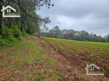 TERRENO EN EL PUEBLO MÁGICO HUASCA DE OCAMPO UBICADO A LA ENTRADA DEL PUEBLO SAN JOSÉ OCOTILLOS