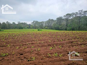 TERRENO EN EL PUEBLO MÁGICO HUASCA DE OCAMPO UBICADO A LA ENTRADA DEL PUEBLO SAN JOSÉ OCOTILLOS