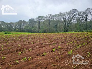 TERRENO EN EL PUEBLO MÁGICO HUASCA DE OCAMPO UBICADO A LA ENTRADA DEL PUEBLO SAN JOSÉ OCOTILLOS