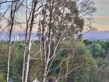 Parcela con Casa 4D 4B, Condominio Los Cisnes, Valdivia