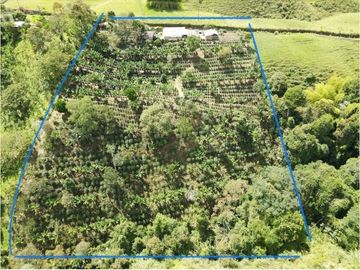 Se Vende Finca en Circasia Quindío, ideal para vivir y cultivar