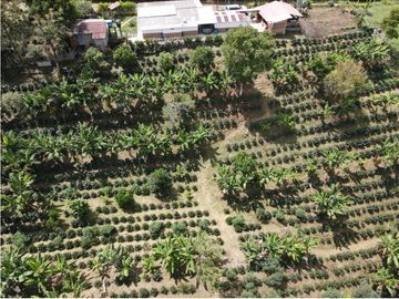 Se Vende Finca en Circasia Quindío, ideal para vivir y cultivar