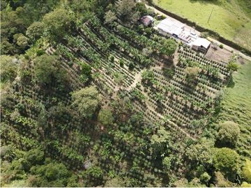 Se Vende Finca en Circasia Quindío, ideal para vivir y cultivar