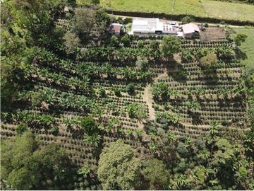 Se Vende Finca en Circasia Quindío, ideal para vivir y cultivar