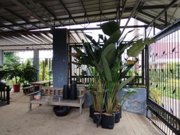 HOUSE & LOT FOR SALE in Silang, Cavite