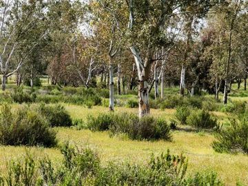 Terreno para construir tu casa de Descanso, en un ambiente con tranquilidad y seguridad en Rancho Banchetti