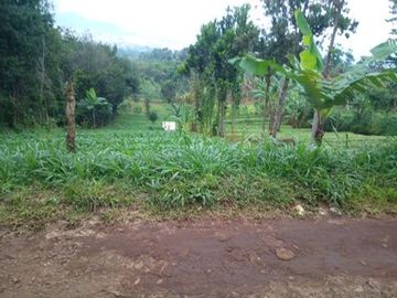 60 Tumbak Tanah View Bagus, Cocok untuk Rumah Kebun atau Villa,  Cibodas Girang, Cilame, Ngamprah, Bandung Barat