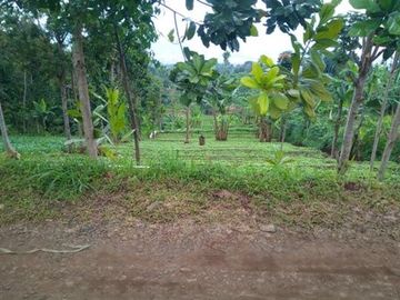60 Tumbak Tanah View Bagus, Cocok untuk Rumah Kebun atau Villa,  Cibodas Girang, Cilame, Ngamprah, Bandung Barat