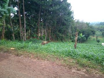 60 Tumbak Tanah View Bagus, Cocok untuk Rumah Kebun atau Villa,  Cibodas Girang, Cilame, Ngamprah, Bandung Barat