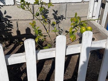 Vendo pequeña quinta de OPORTUNIDAD  en el centro  de Guayllabamba