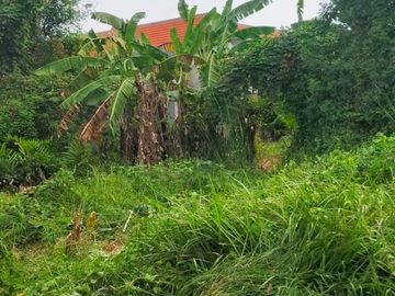 Jual Tanah Butuh Uang Dekat Surabaya Daerah Menganti