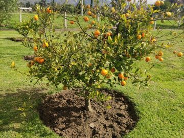 VENTA DE TERRENO EN TABACUNDO DENTRO DE URBANIZACIÓN