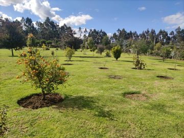 VENTA DE TERRENO EN TABACUNDO DENTRO DE URBANIZACIÓN