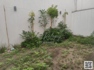 CASA EN VENTA, ALAMEDAS DE ALCAZAR. León,Gto; 3 REC.ROOF GARDEN, EQUIPADA, PRIVADA