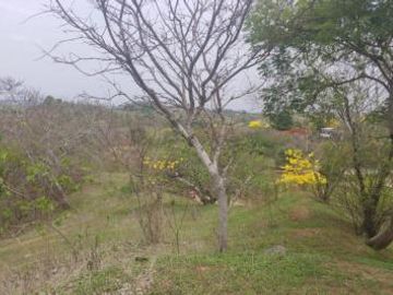 Venta Terreno 3.15 Has Via a La Costa Km 24